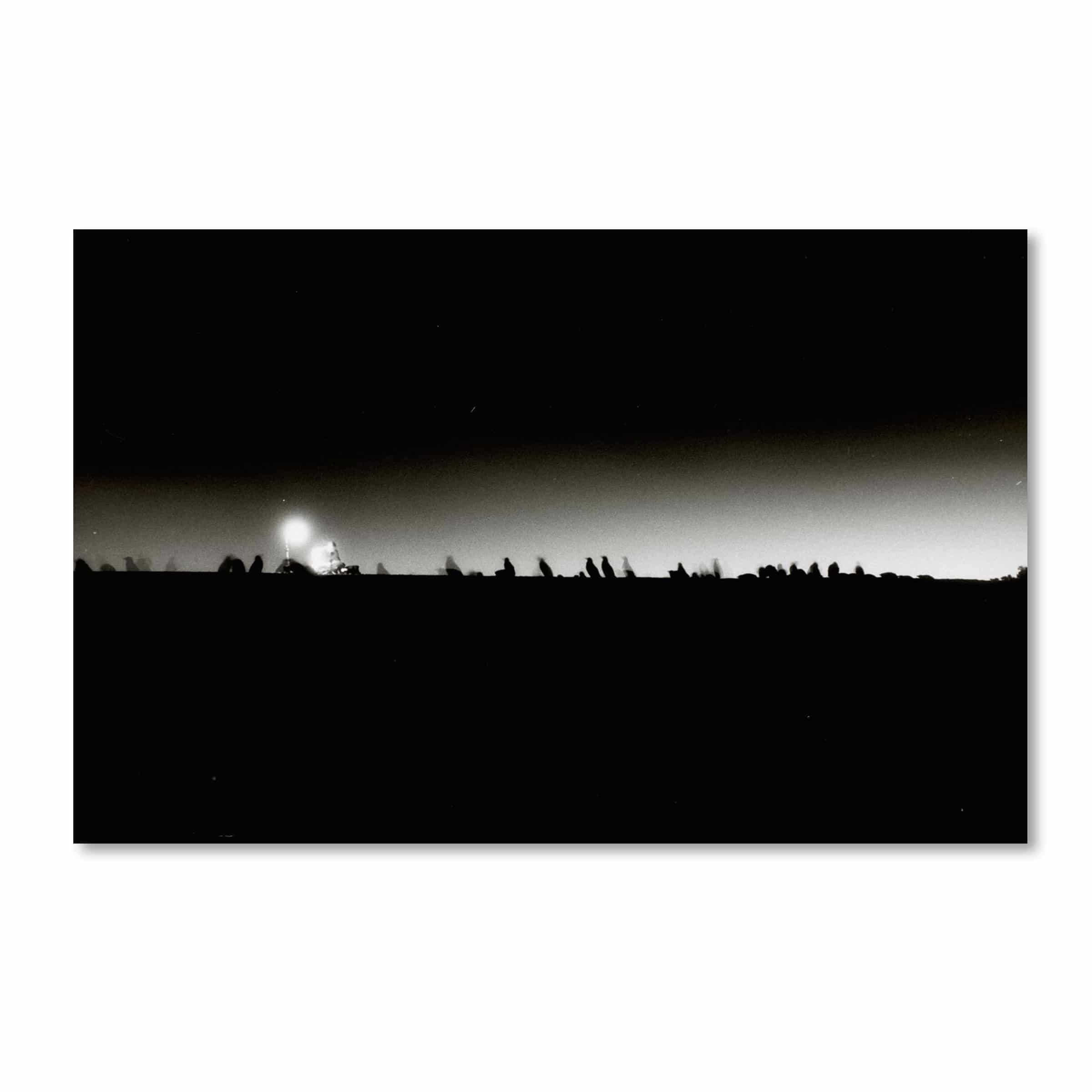 Philippe Parreno. Speaking to the Penguins. Triptych, 2013 image 2