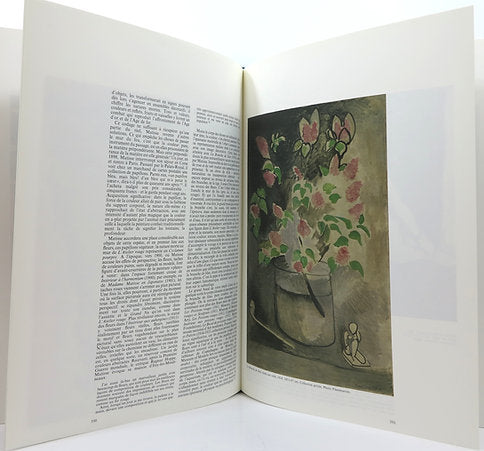 Matisse. By Pierre Schneider. Flammarion, 1984 image 2