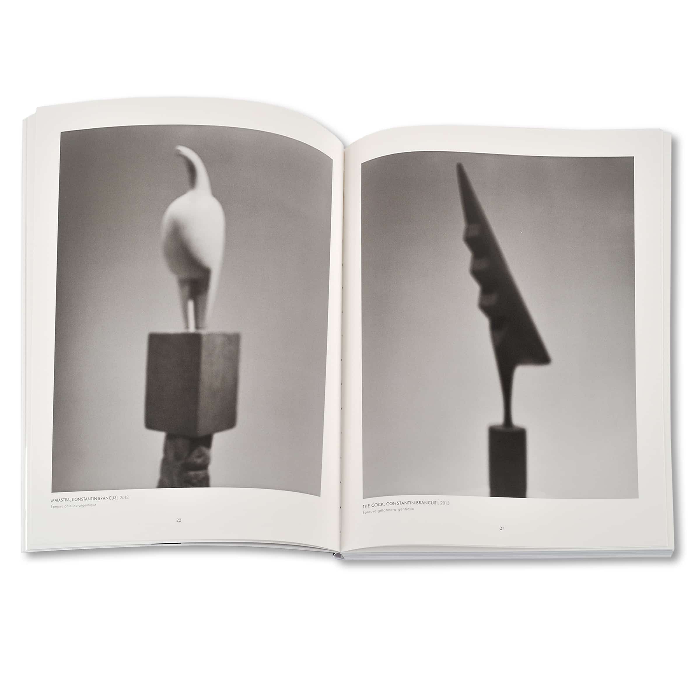 Revue Cahiers d'Art, 2014, n°1, Hiroshi Sugimoto, Standard Edition image 2