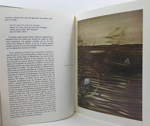Yves Tanguy. By Patrick Waldberg. André de Rache publisher. 1977 image 4