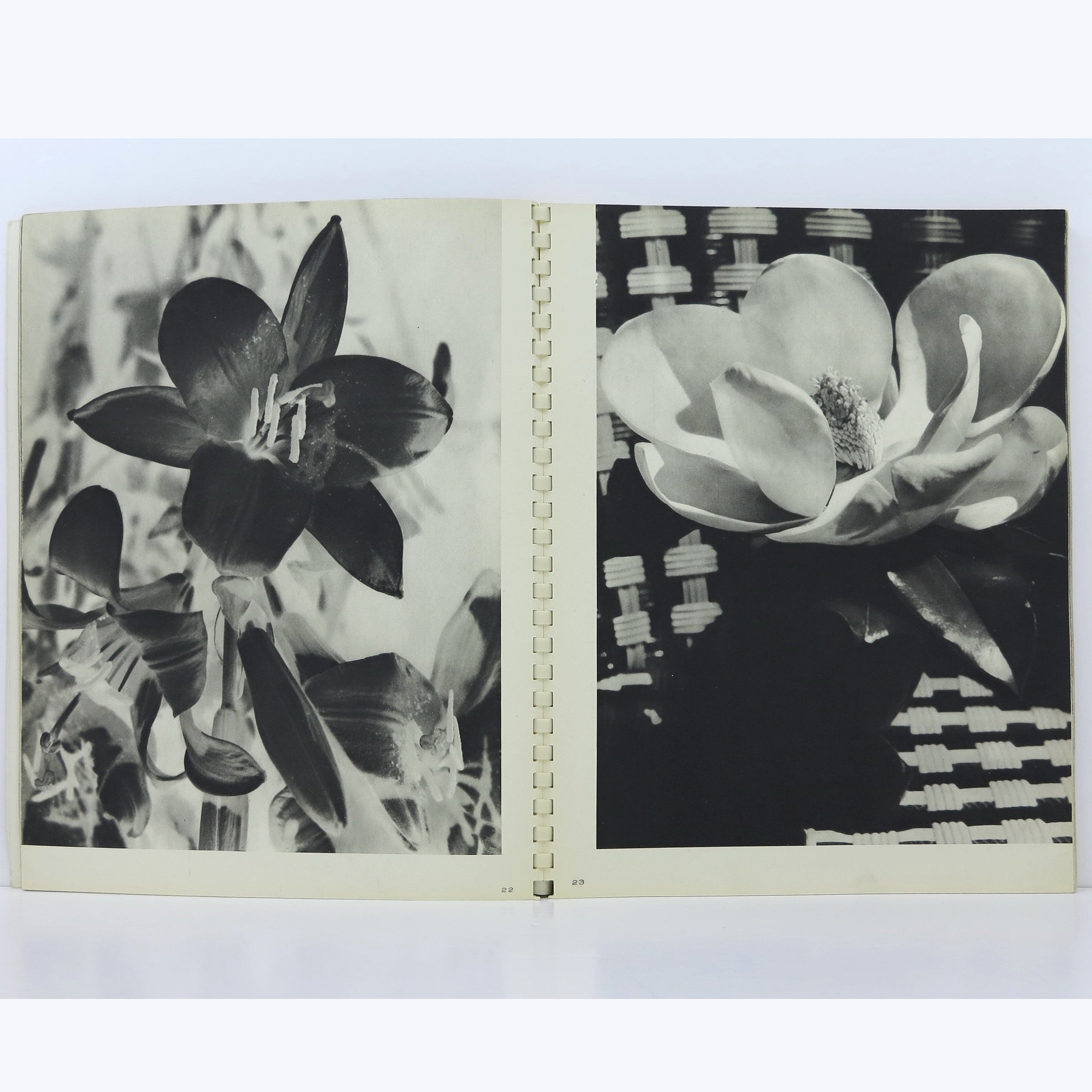 Man Ray, Photographies 1920-1934, Cahiers d'Art, 1934 (Copy) image 5