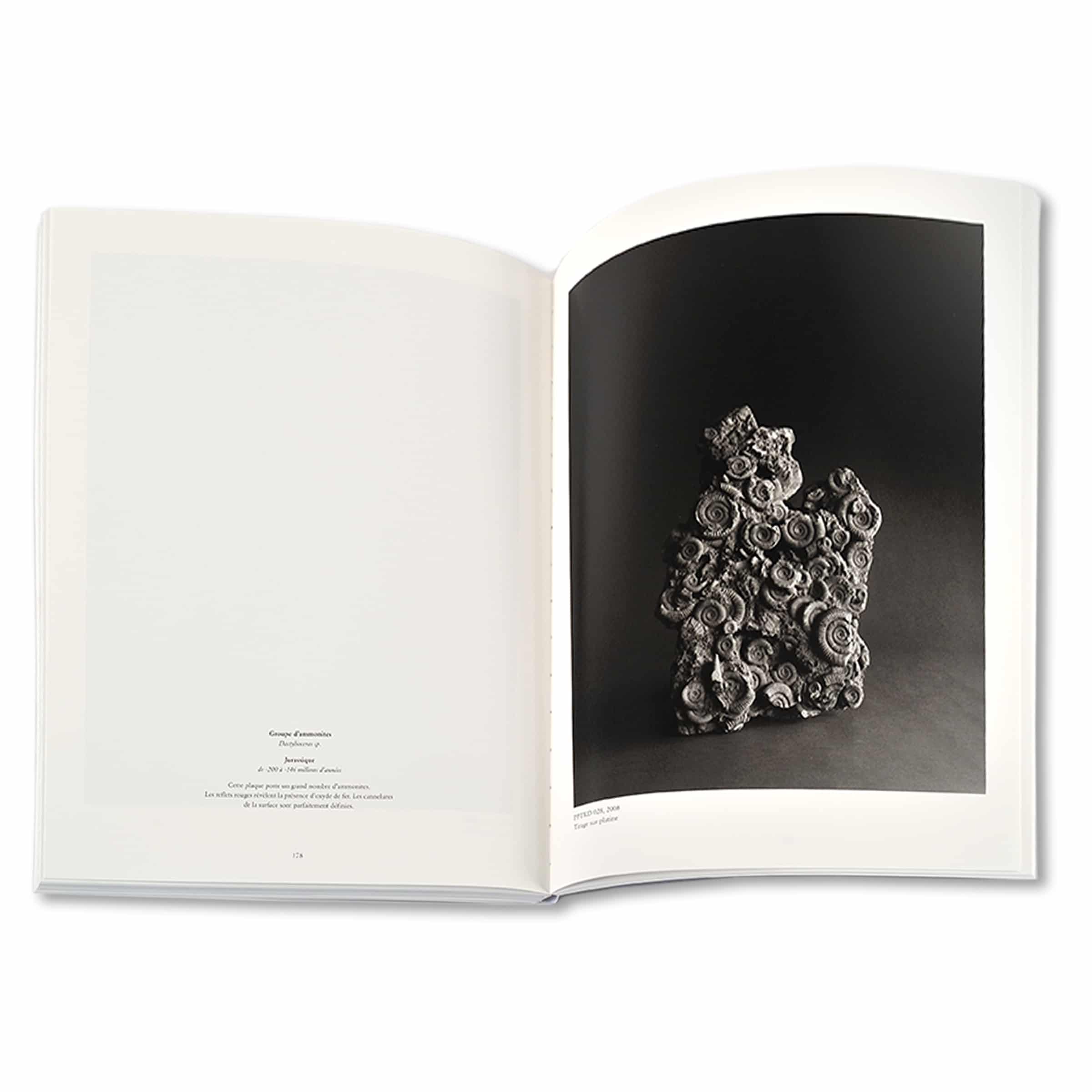 Revue Cahiers d’Art, 2014, n°1, Hiroshi Sugimoto, Limited Edition including original Artwork image 4