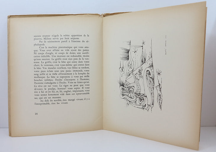 Masson. La Pieuvre. Buenos Aires: Éditions des lettres françaises, 1944. image 3