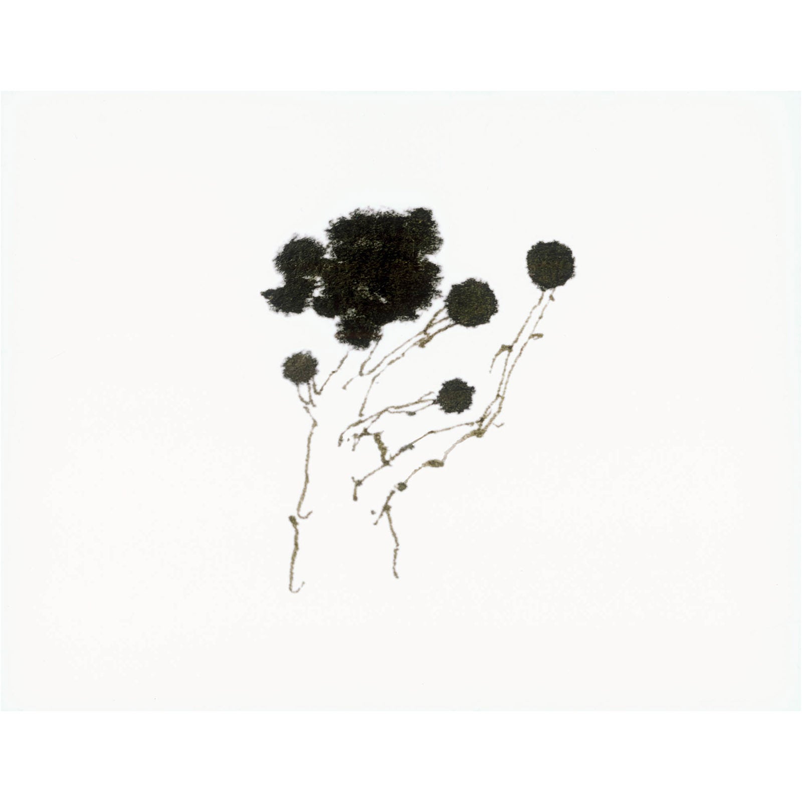 Koo Jeong A, Your Tree My Answer, from the Ever Goya Print Portfolio, 2021 image 0