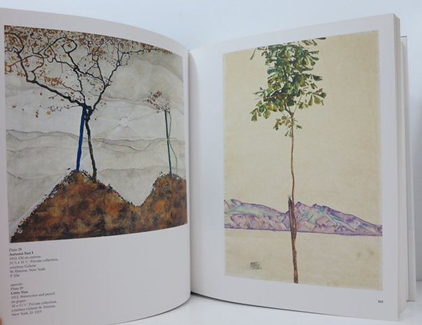 Egon Schiele. The complete works. By Jane Kallir. Thames and Hudson. 1998 image 3