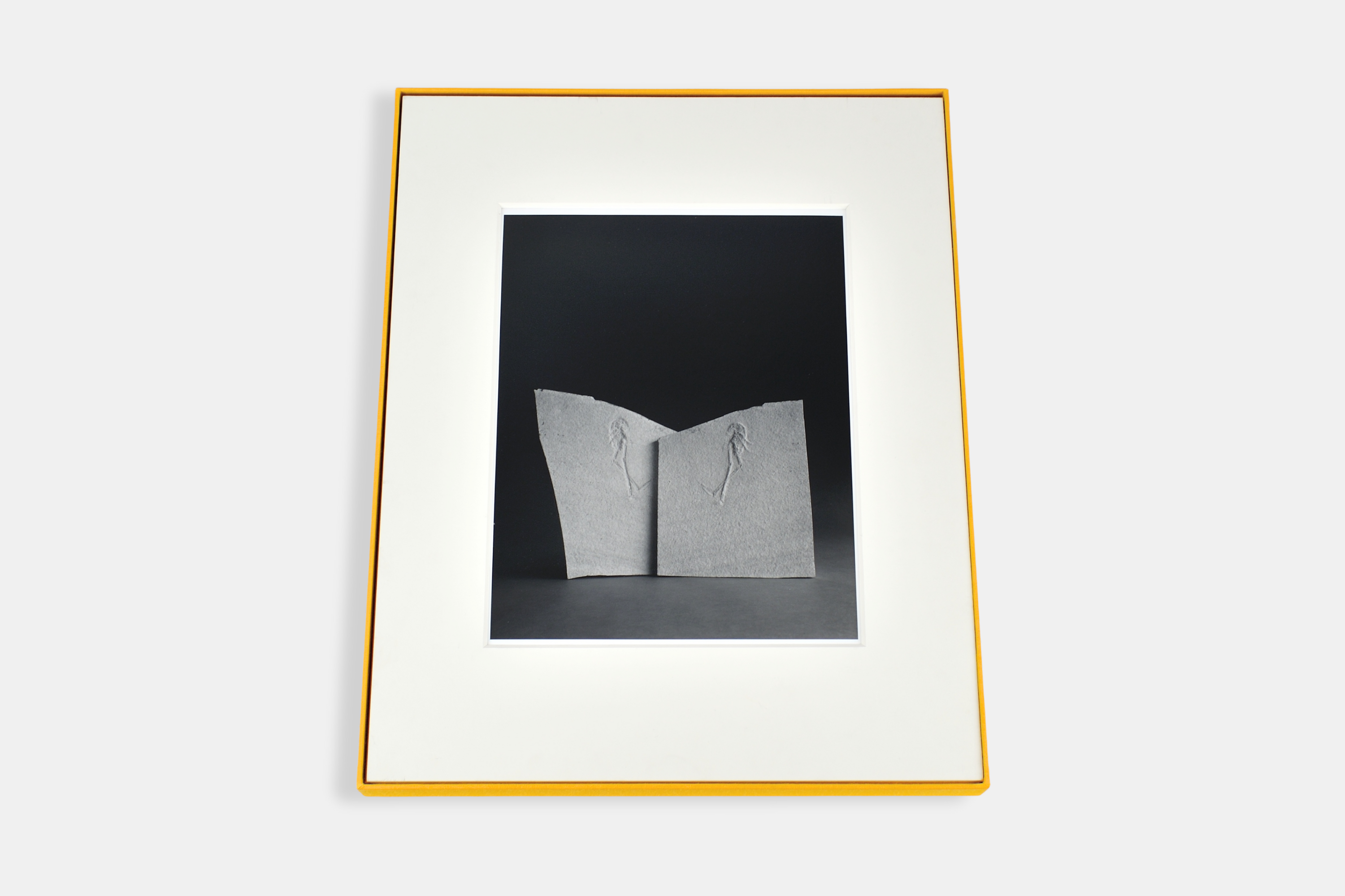 Revue Cahiers d'Art, 2014, n°1, Hiroshi Sugimoto, Édition limitée incluant une œuvre originale