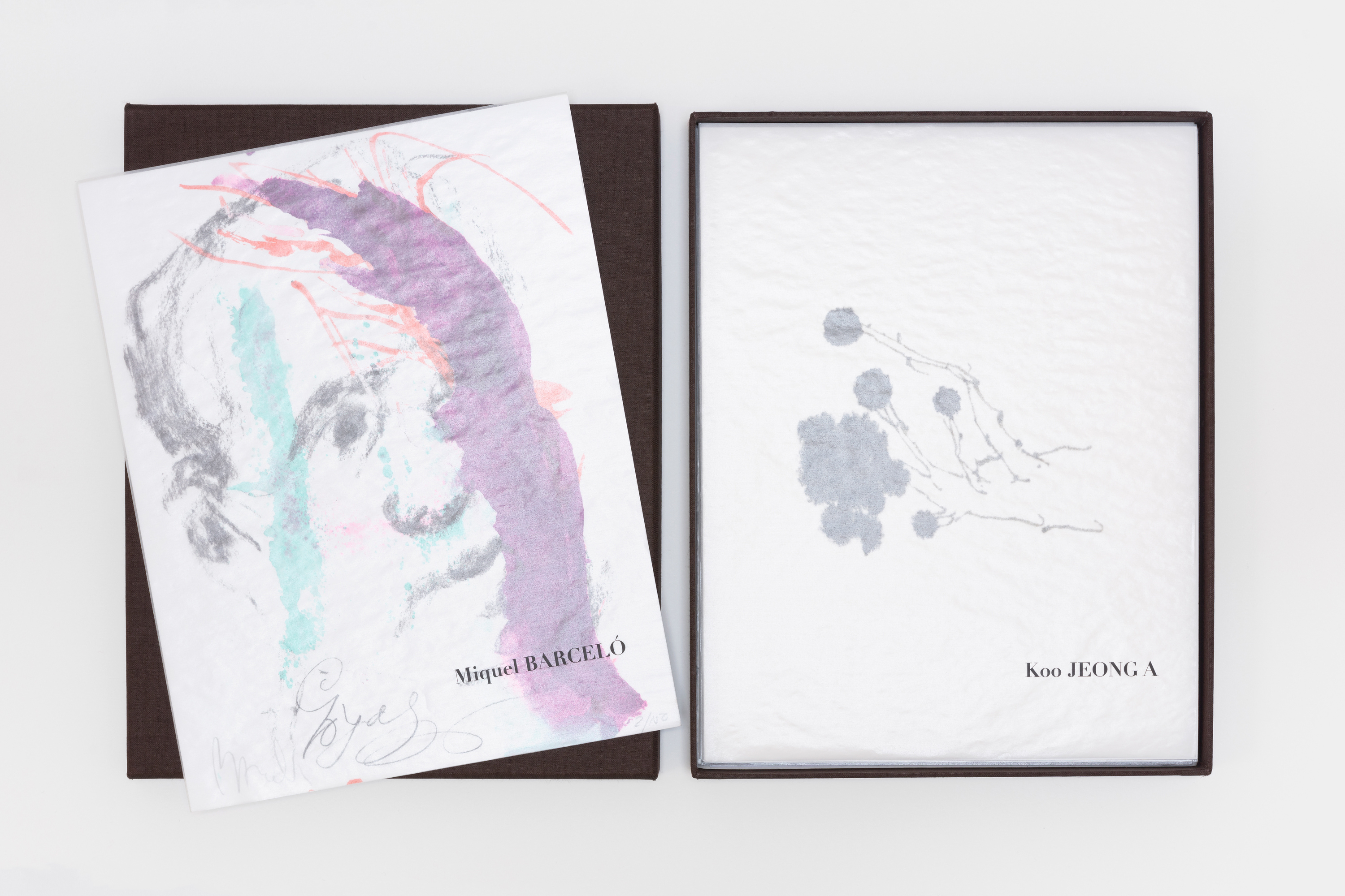 Ever Goya — The Print Portfolio, 2021