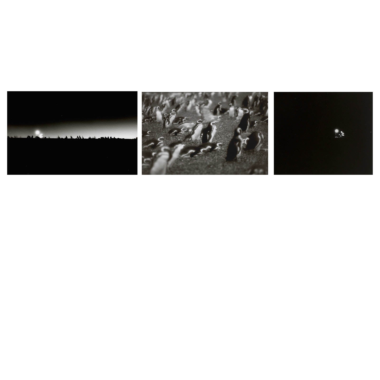 Philippe Parreno. Speaking to the Penguins. Triptych, 2013 image 1