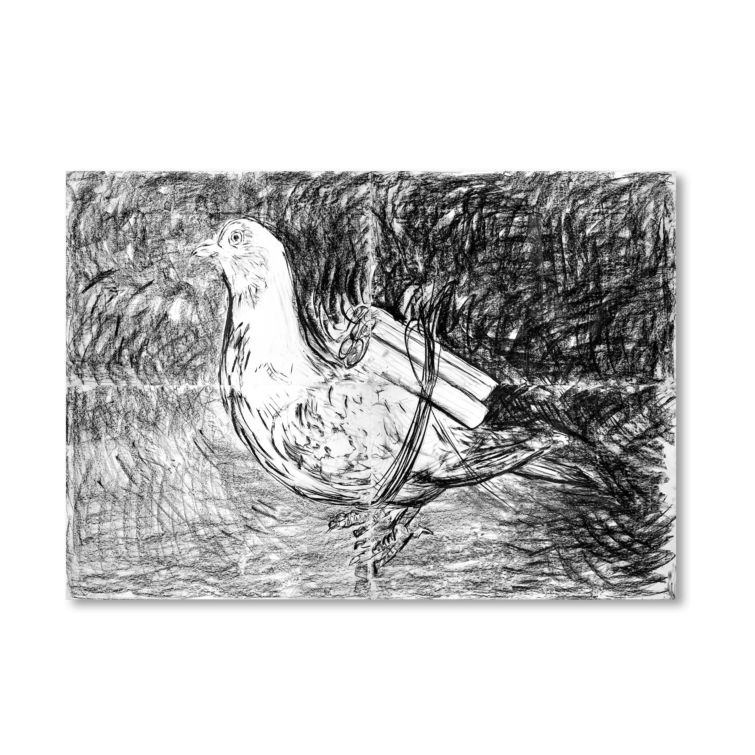 Adel Abdessemed, Pigeon, 2016, Edition of 3 image 0