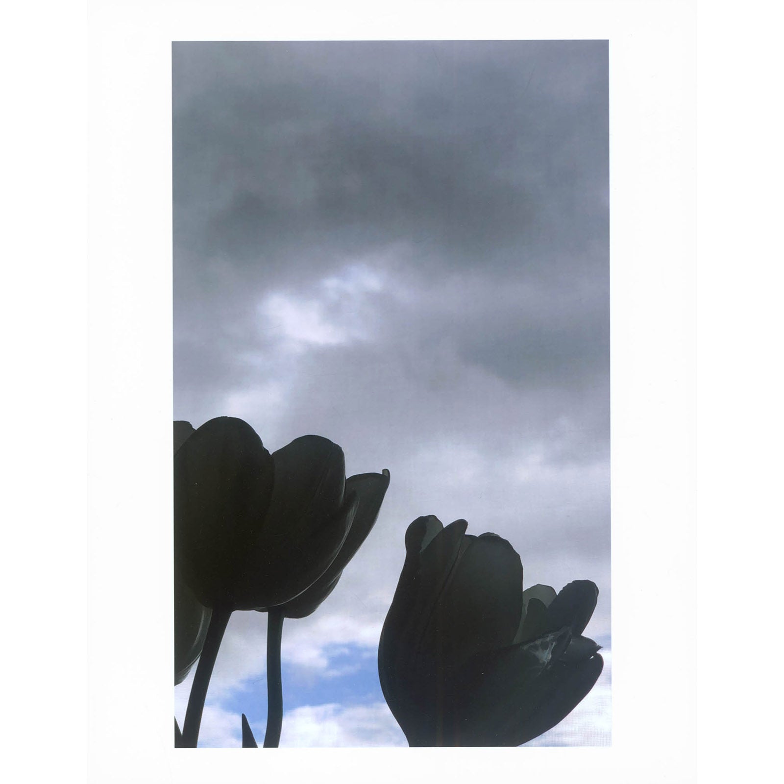 Rachel Rose, Morning, from the Ever Goya Print Portfolio, 2021 image 0