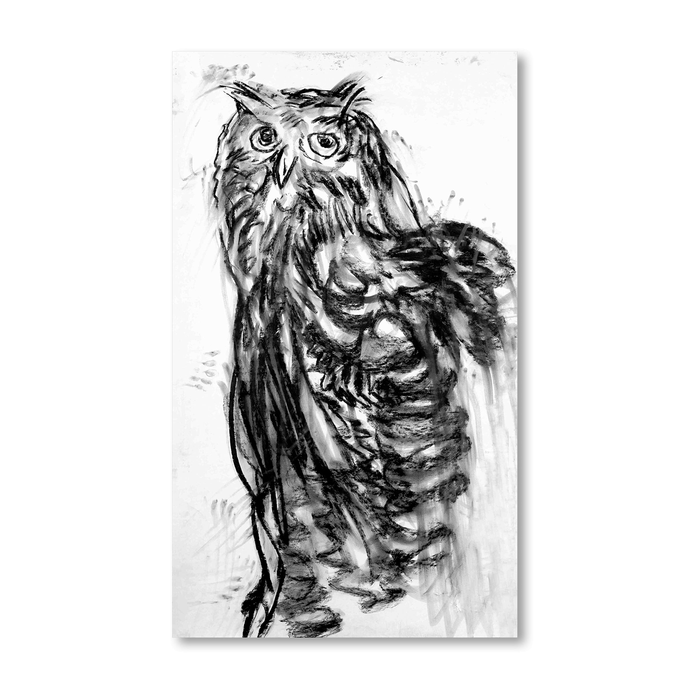 Adel Abdessemed, Hibou, 2016, Edition of 18 image 0