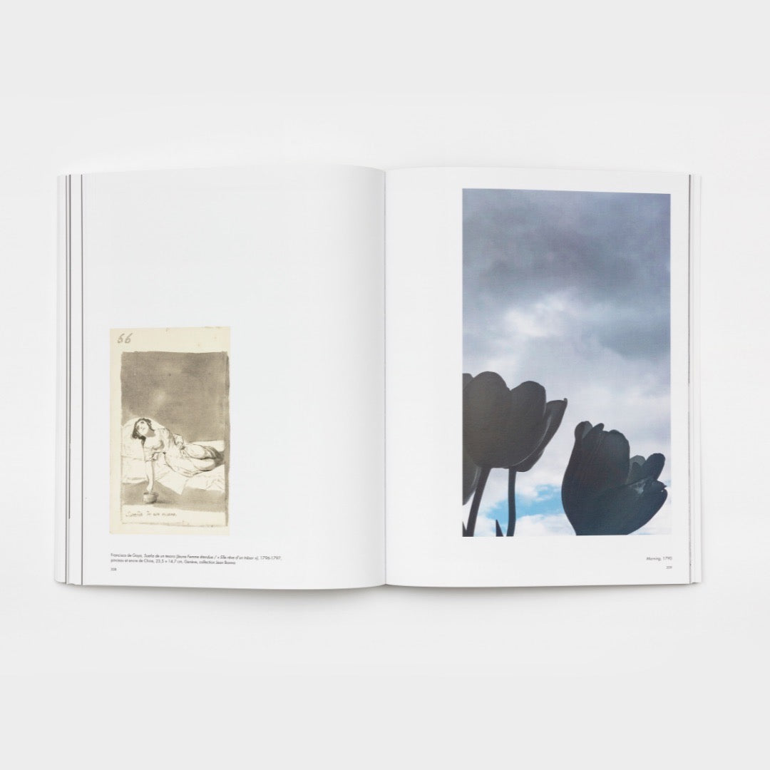Revue Cahiers d'Art, 2021, Ever Goya, Standard Edition image 6