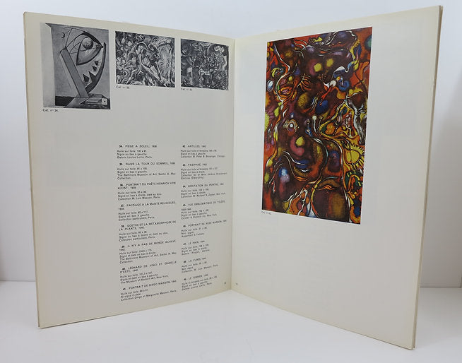 André Masson. Musée National d'Art Moderne. 1965 image 2