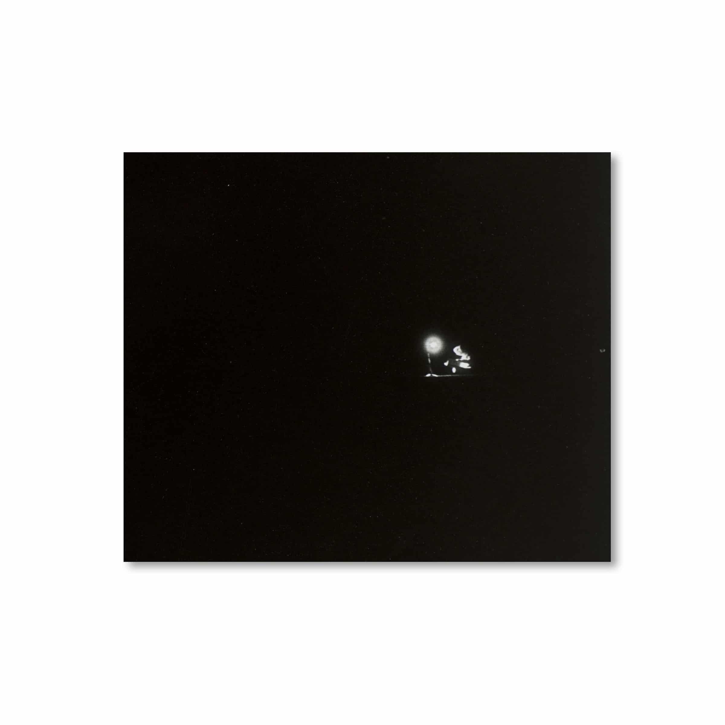 Philippe Parreno. Speaking to the Penguins. Triptych, 2013 image 4