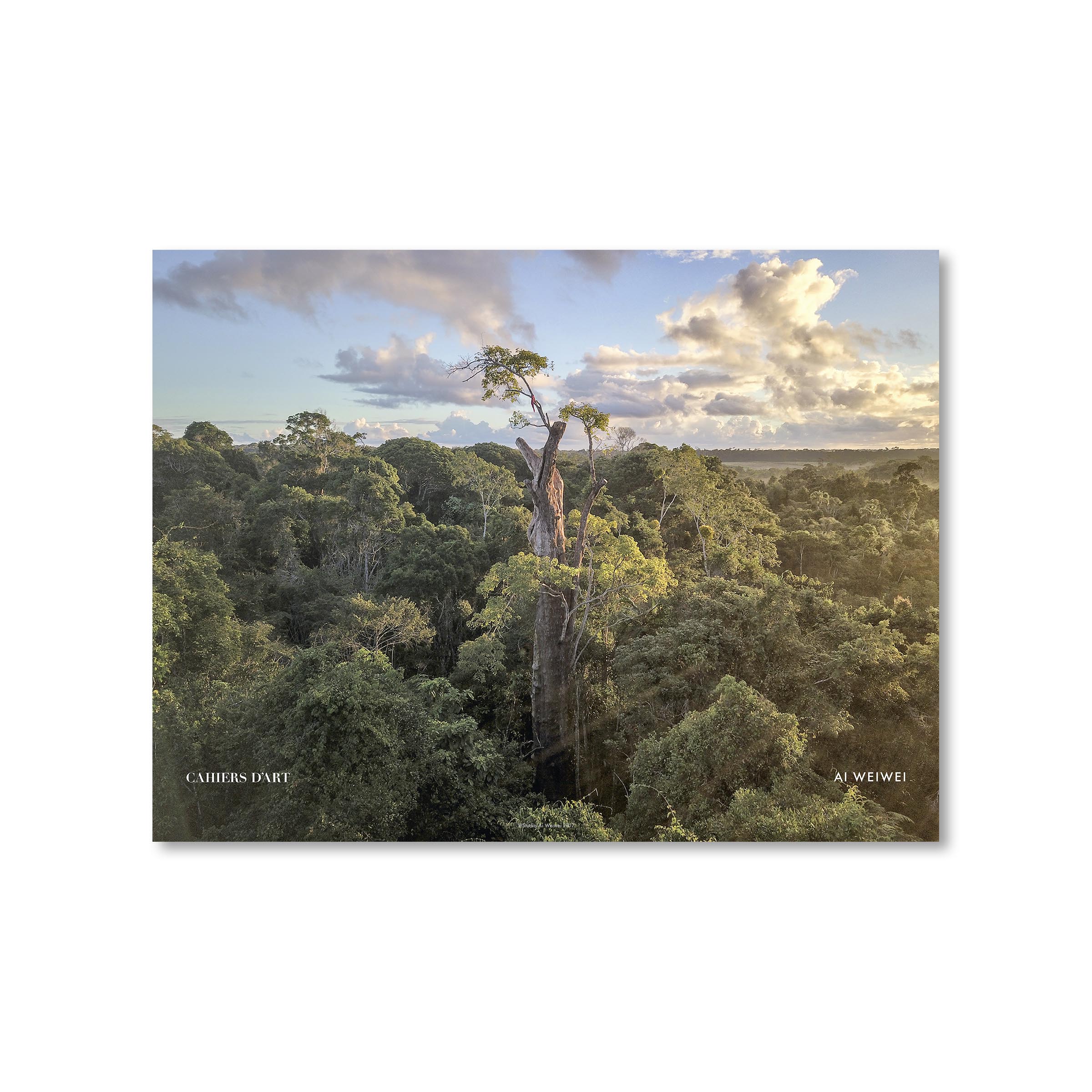 Ai Weiwei. Standard Poster "A TREE". 2019. image 0