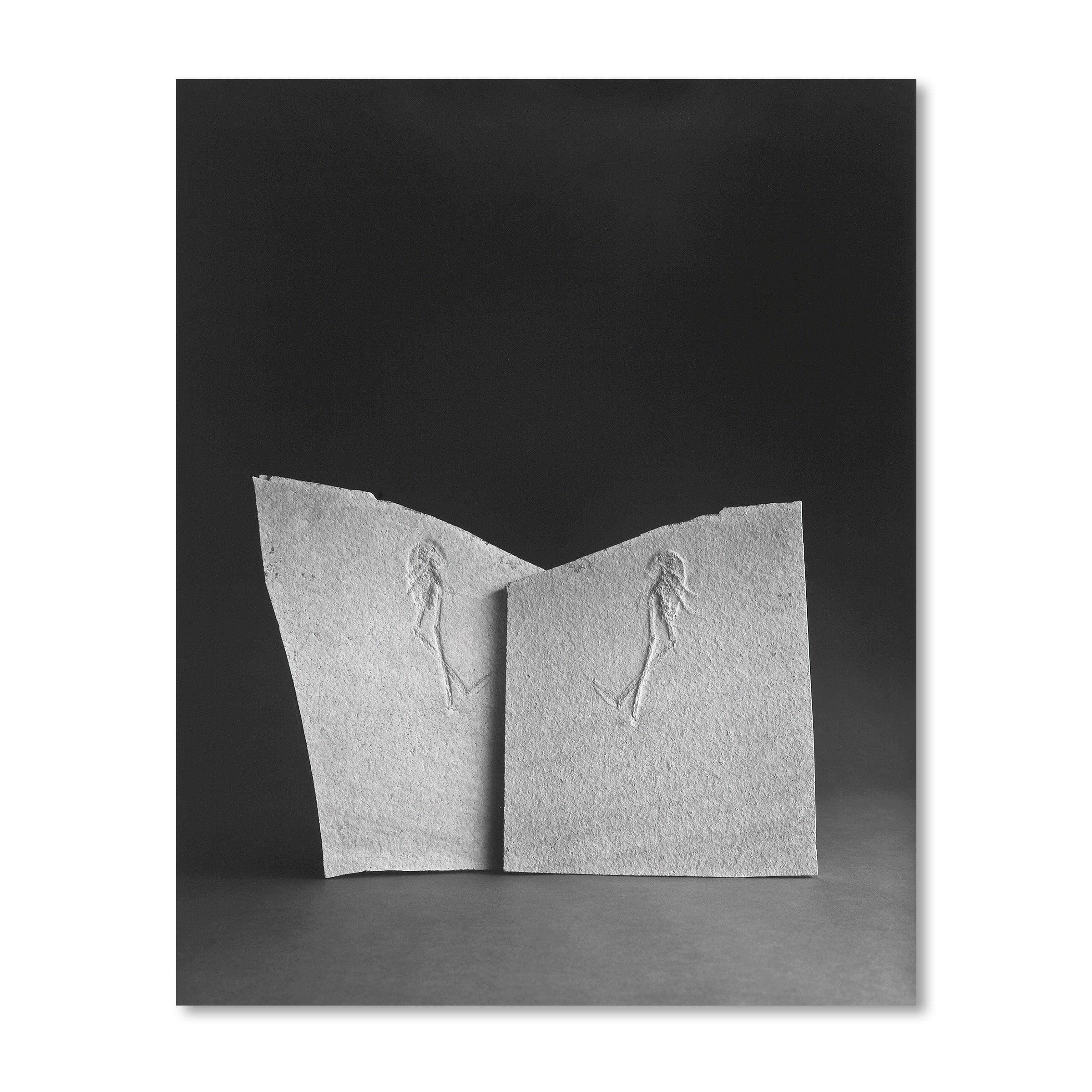 Revue Cahiers d’Art, 2014, n°1, Hiroshi Sugimoto, Limited Edition including original Artwork image 2