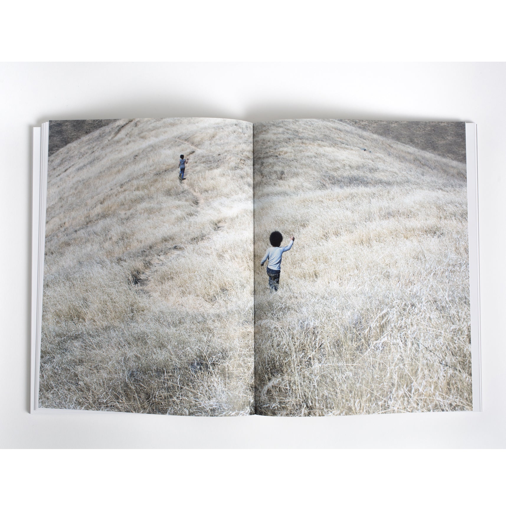 Revue Cahiers d'Art, 2020, Arthur Jafa, Standard Edition image 7