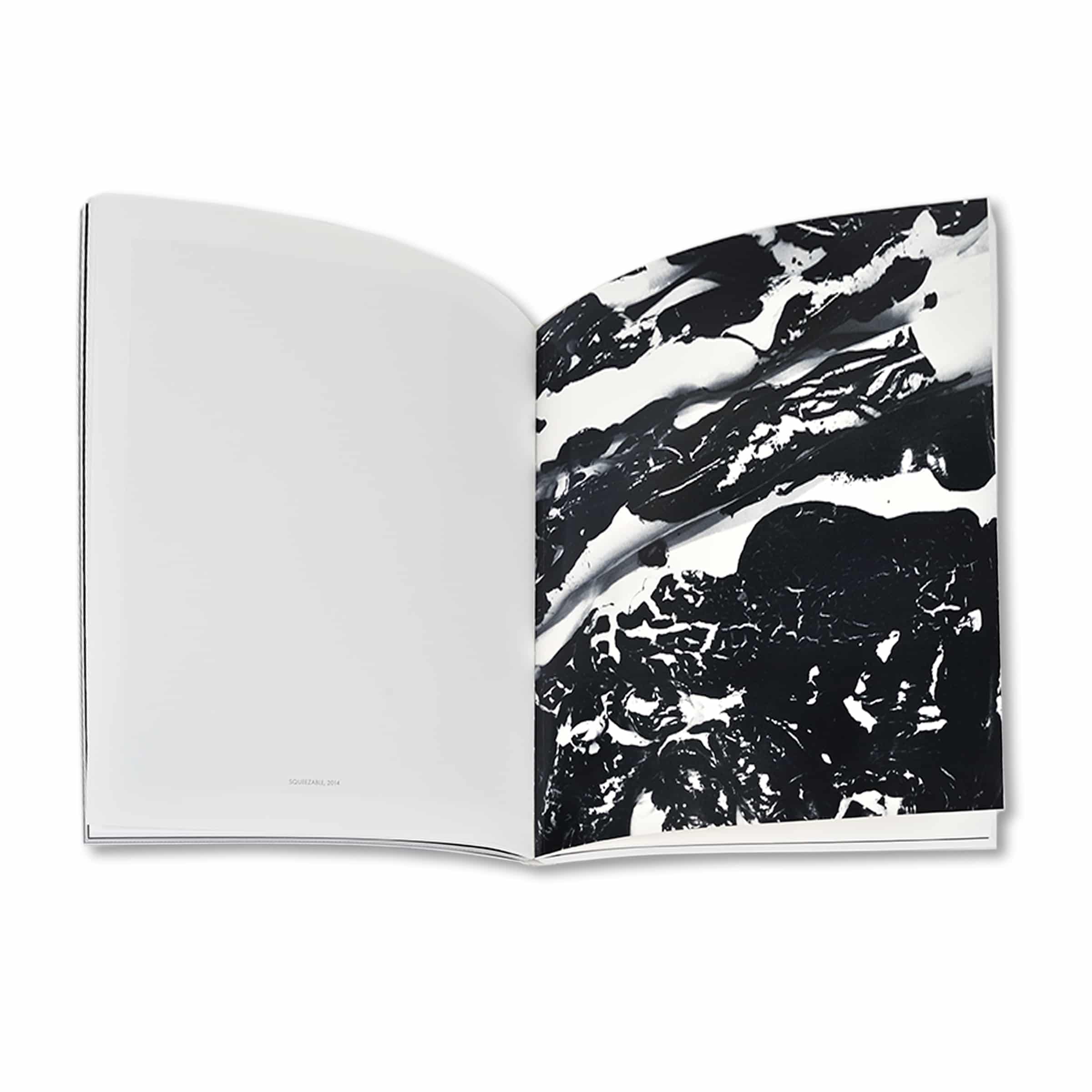 Revue Cahiers d’Art, 2013, n°1-2, Rosemarie Trockel, Limited Edition including original Artwork image 3