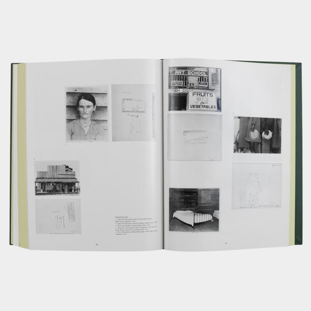 Taryn Simon, The Color of a Flea's Eye: The Picture Collection