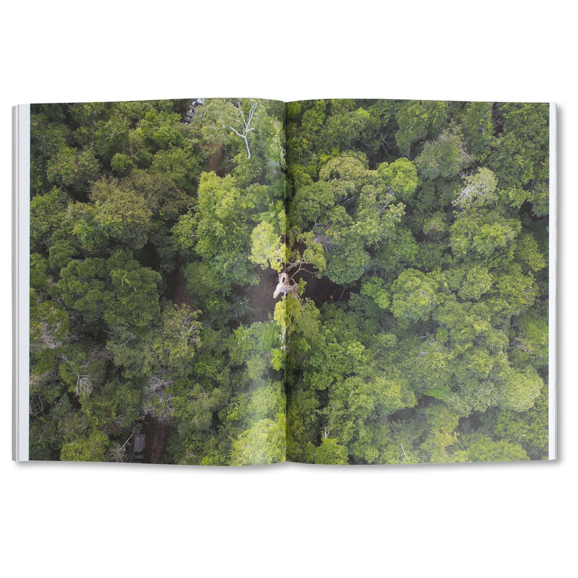 Revue Cahiers d'Art, 2019, Ai Weiwei, Standard Edition image 1