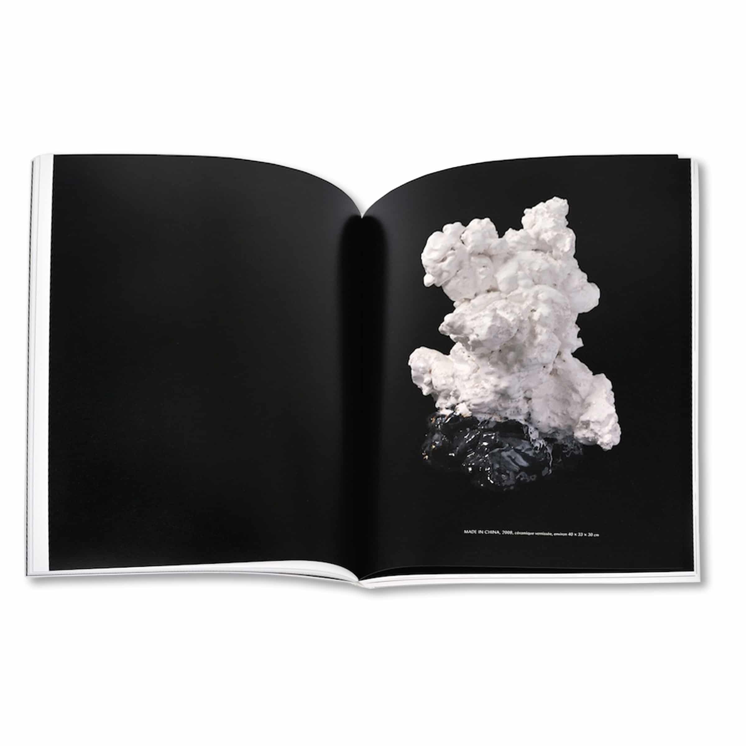 Revue Cahiers d'Art, 2013, n°1-2, Rosemarie Trockel, Standard Edition image 1