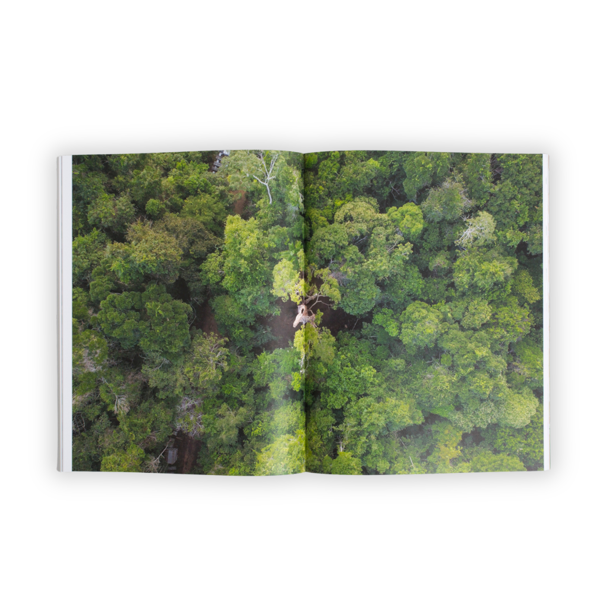 《艺术笔记》期刊，2019，艾未未，标准版