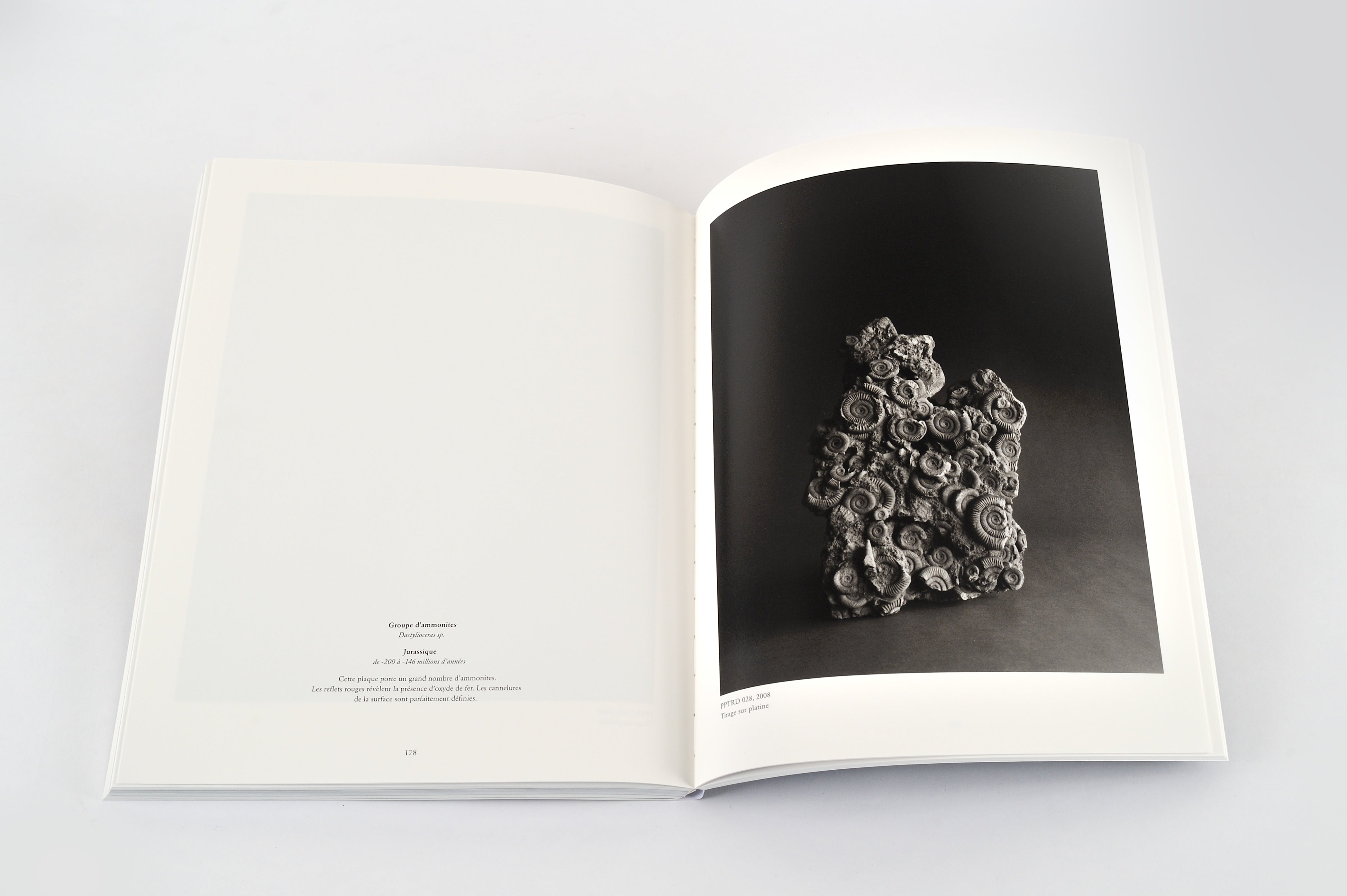 Revue Cahiers d'Art, 2014, n°1, Hiroshi Sugimoto, Édition limitée incluant une œuvre originale