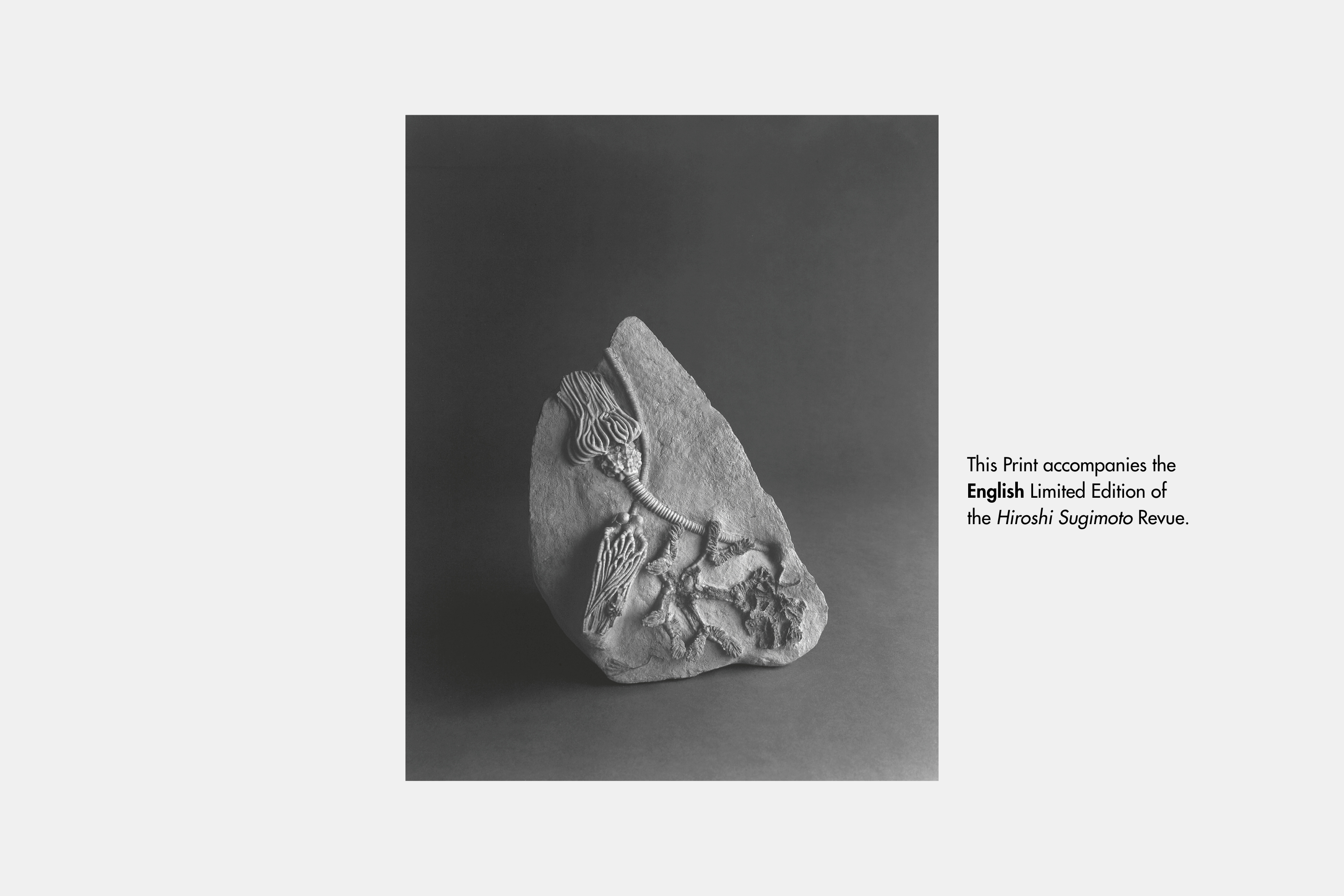 Revue Cahiers d'Art, 2014, n°1, Hiroshi Sugimoto, Édition limitée incluant une œuvre originale