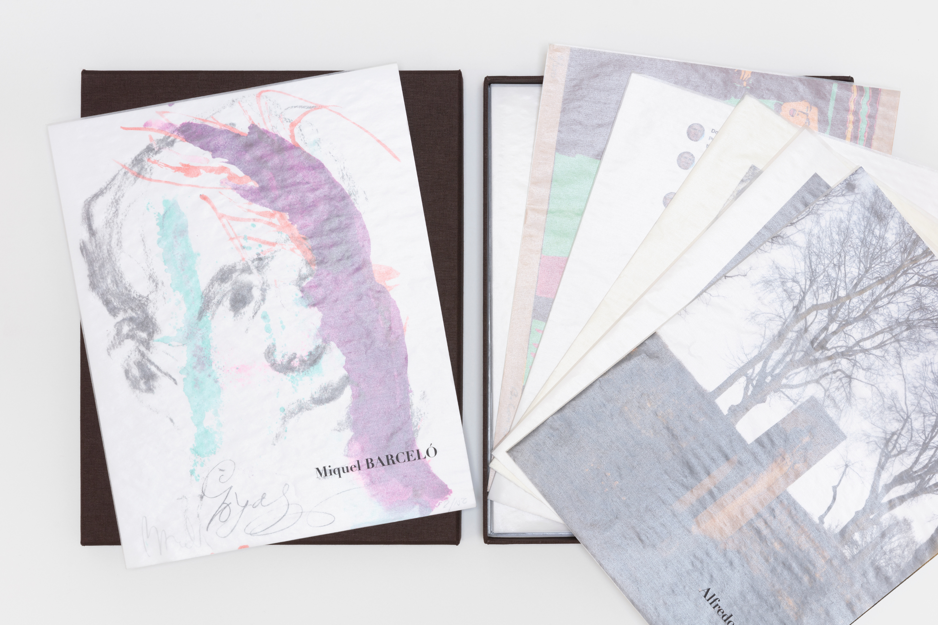 Ever Goya — The Print Portfolio, 2021