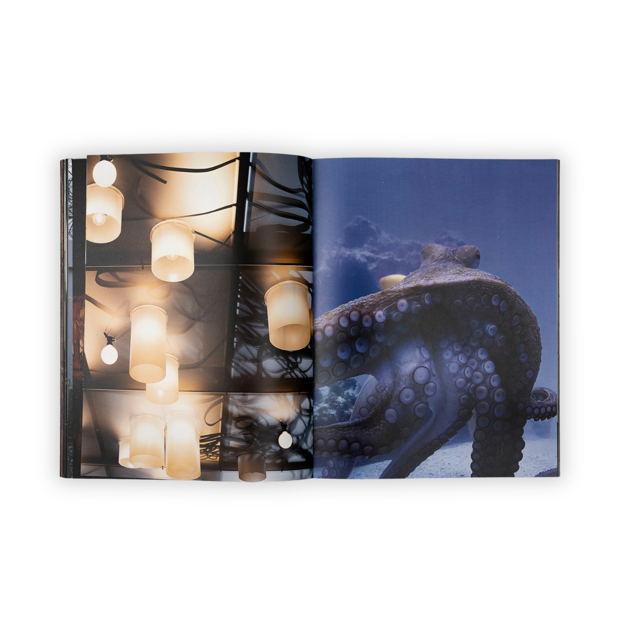 Revue Cahiers d'Art, 2023, Parreno, Édition Standard